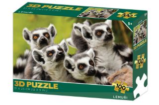 Obrázek z Puzzle 3D - Lemuři 100 dílků 